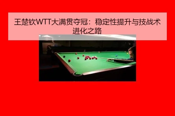 wang-chu-qin-da-man-guan-duo-guan-wen-ding-xing-ti-sheng-yu-ji-zhan-shu-jin-hua-zhi-lu-2-816.jpg