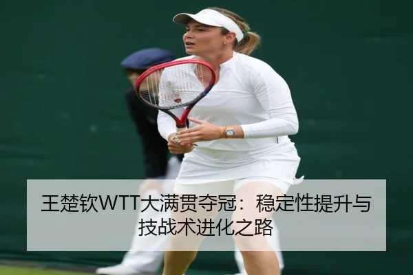 wang-chu-qin-da-man-guan-duo-guan-wen-ding-xing-ti-sheng-yu-ji-zhan-shu-jin-hua-zhi-lu-3-477.jpg